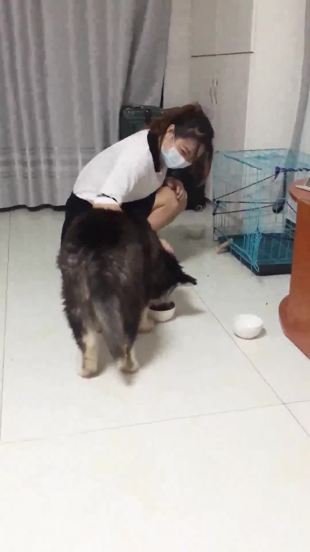 女王养成女奴记 清纯小妹变母狗