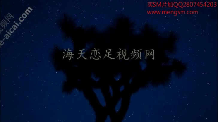 女女 白袜 调教