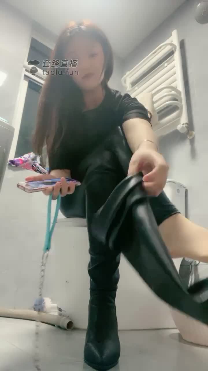 偷厕纸的狗