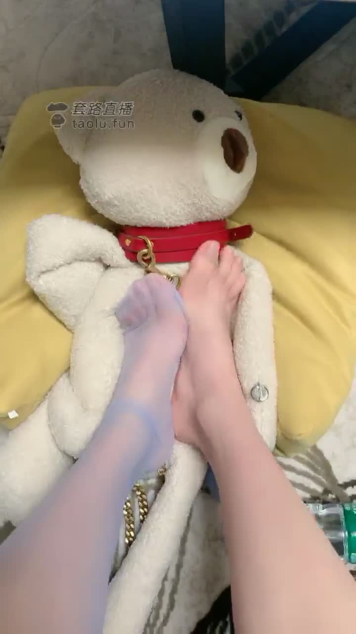 红绿灯哦 小狗们