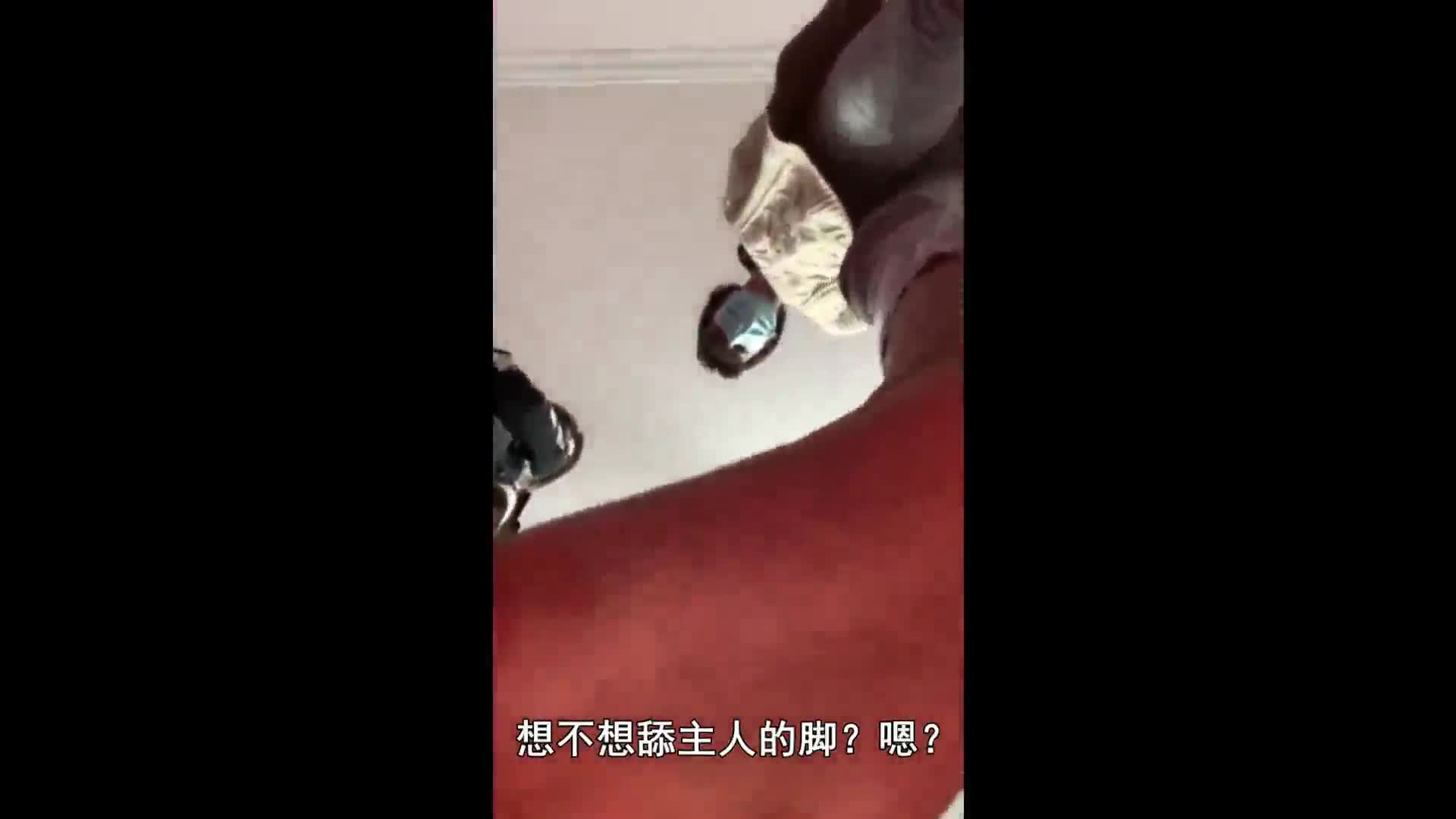 第一人称羞辱贱货滚进来跪着听1