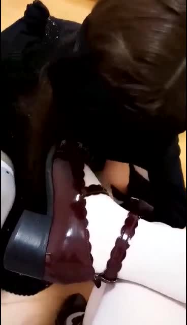 调CD狗下集