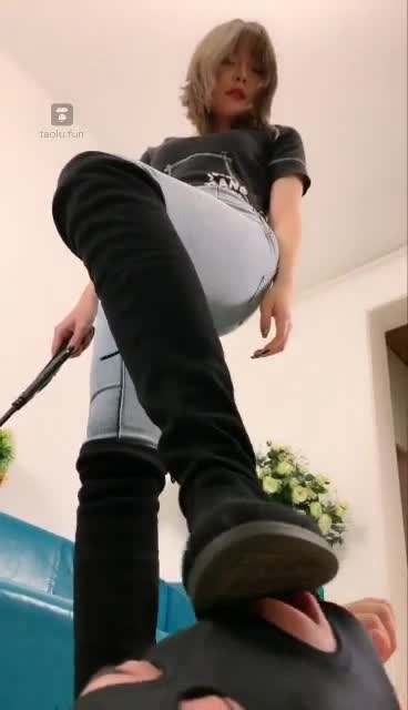 调个小乖狗