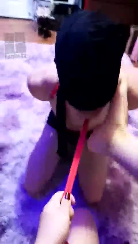 暴力调教骚贱狗