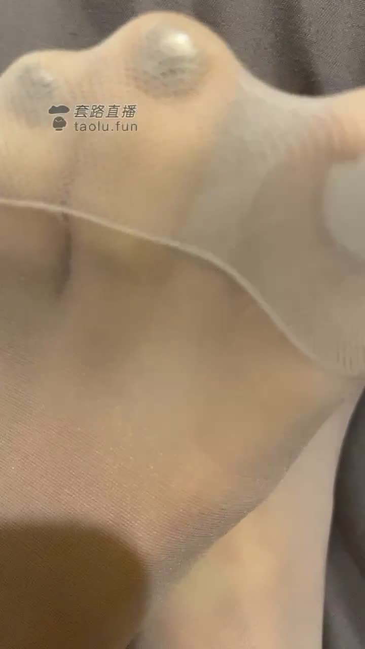 网调女M