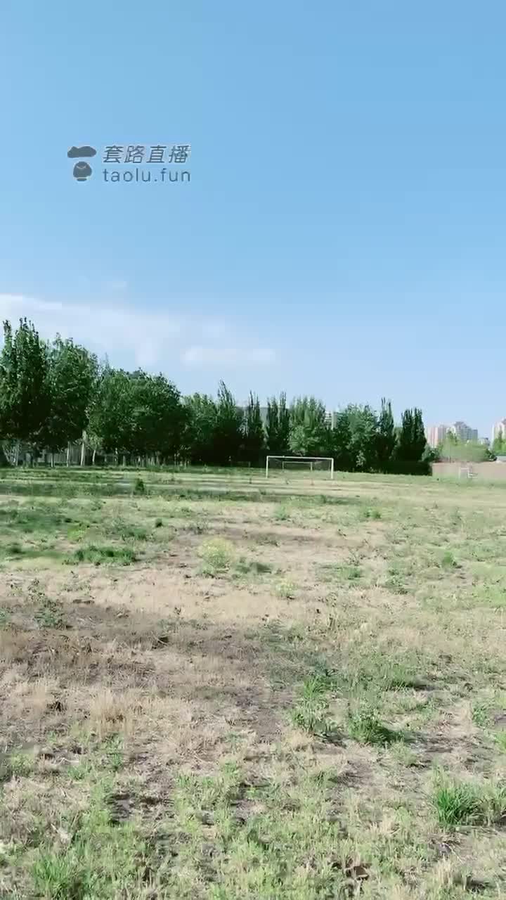 户外调教 专业级剧情
