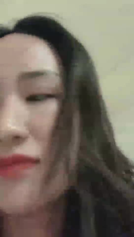 调狗