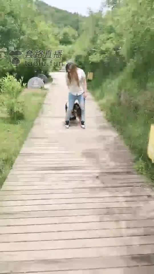 母狗 户外调教 开发男摄影师