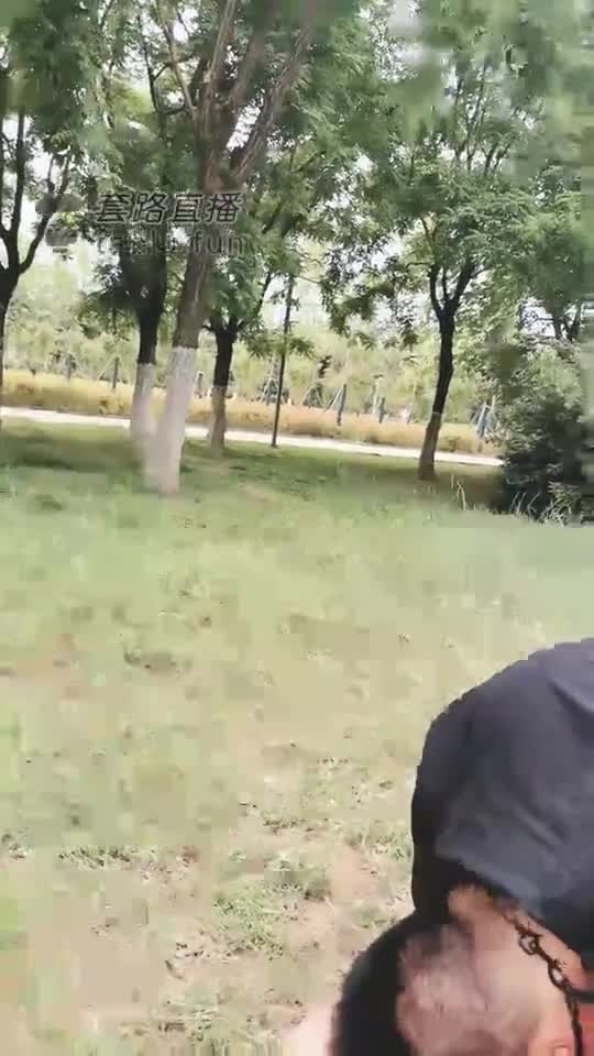 户外虐家奴