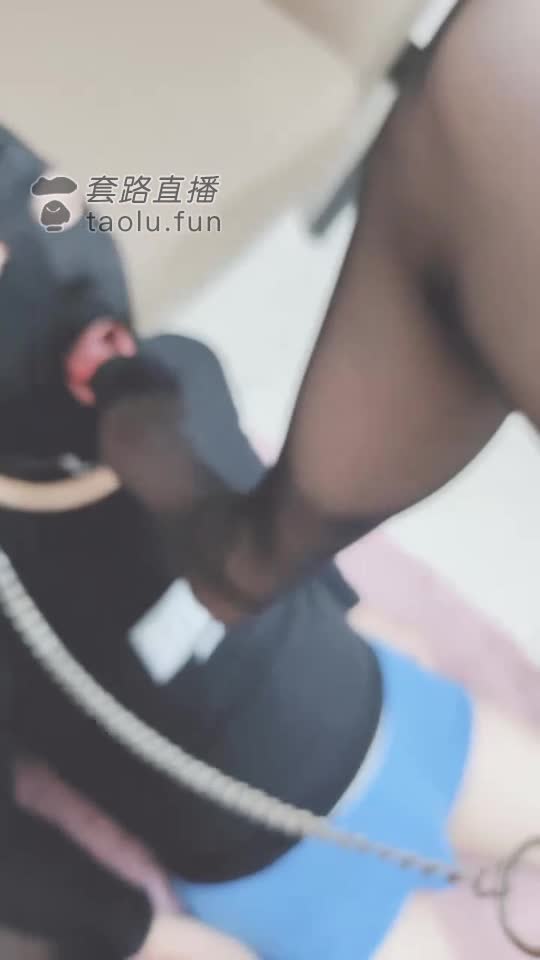 大半夜拉狗狗出来 给主人深喉