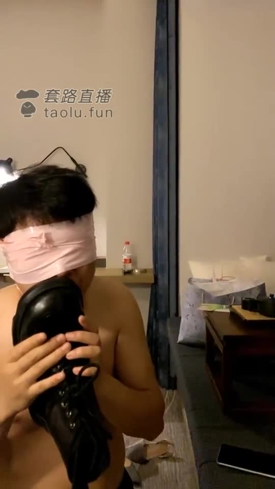 开始上课 一条傻狗