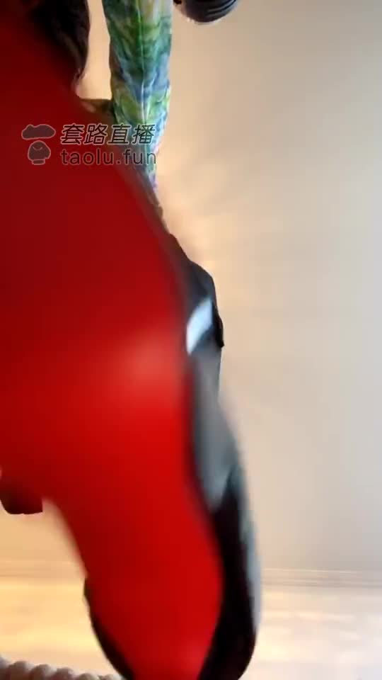 胯下辱全家 红绿灯