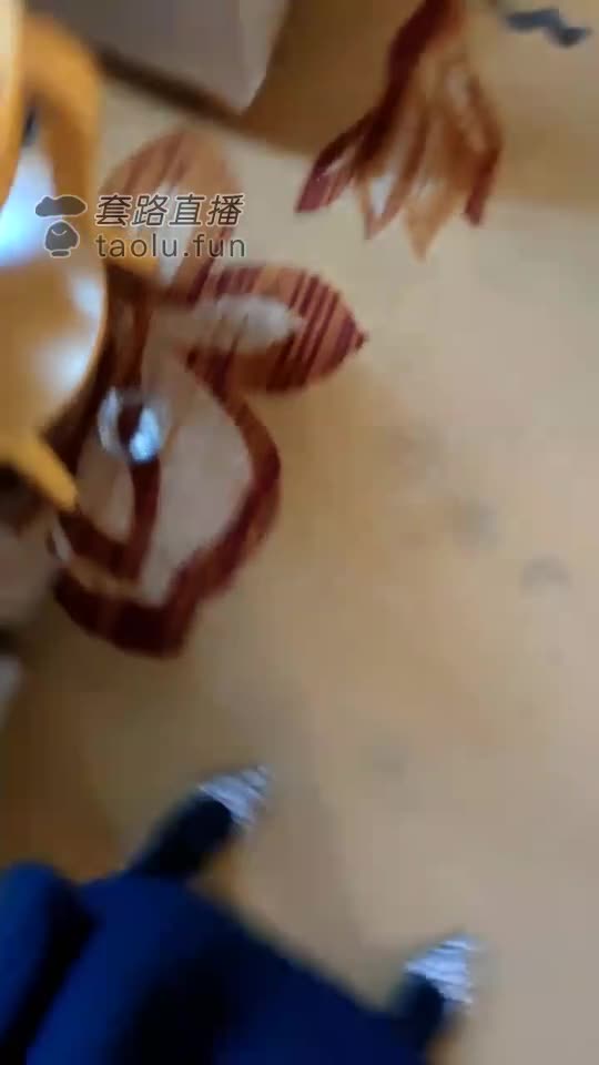 双女王调贱狗