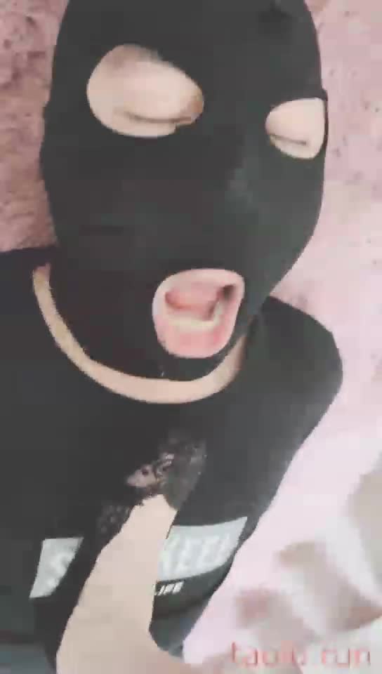 喂狗吃蕾丝船袜