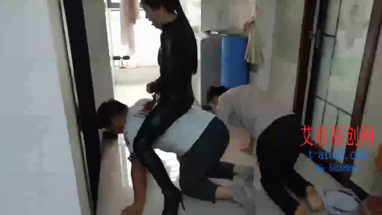 欣女王 骑马和遛狗的故事