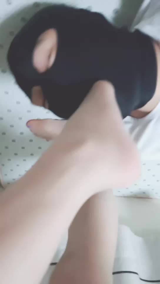 学生狗接受主人的洗礼