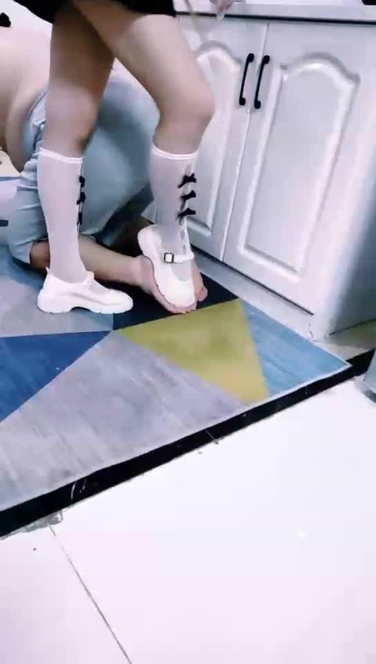 教育首次上课的狗狗