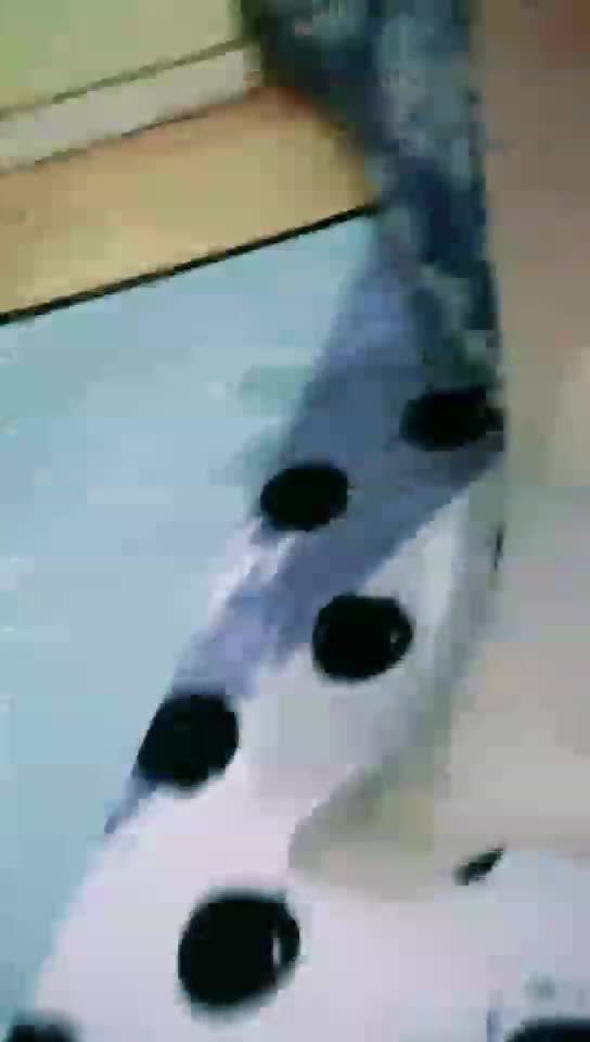 口水圣水舔脚