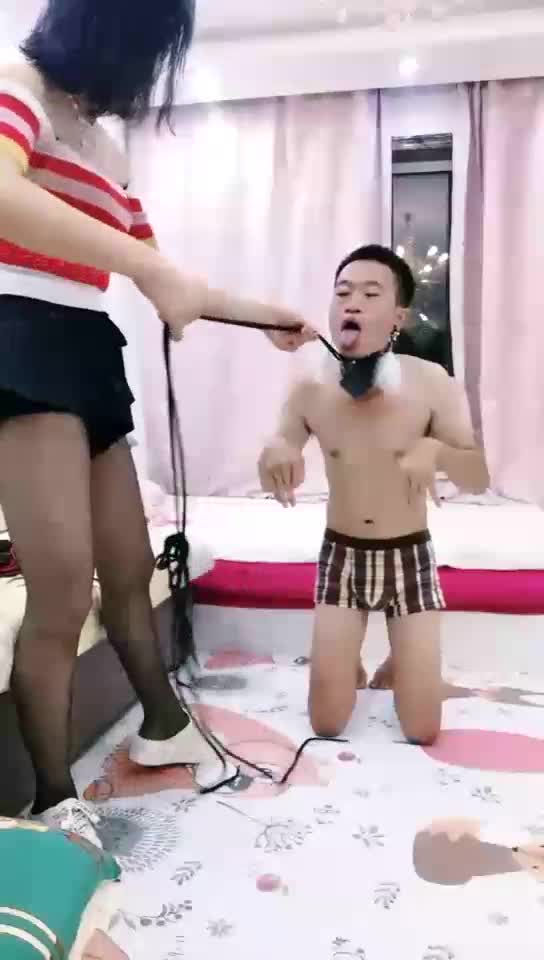来我脚下犯贱