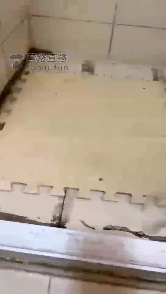 释放完继续圣水黄金