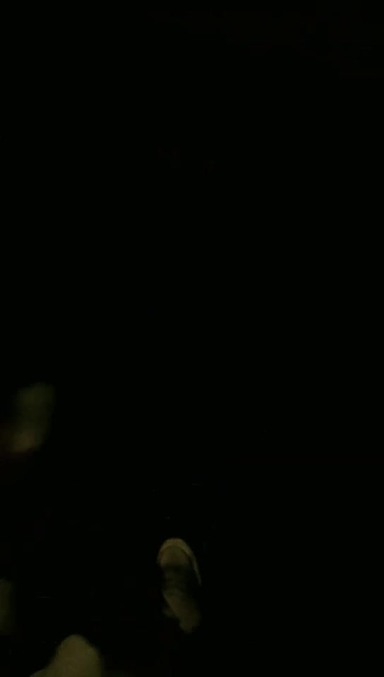 野外遥狗