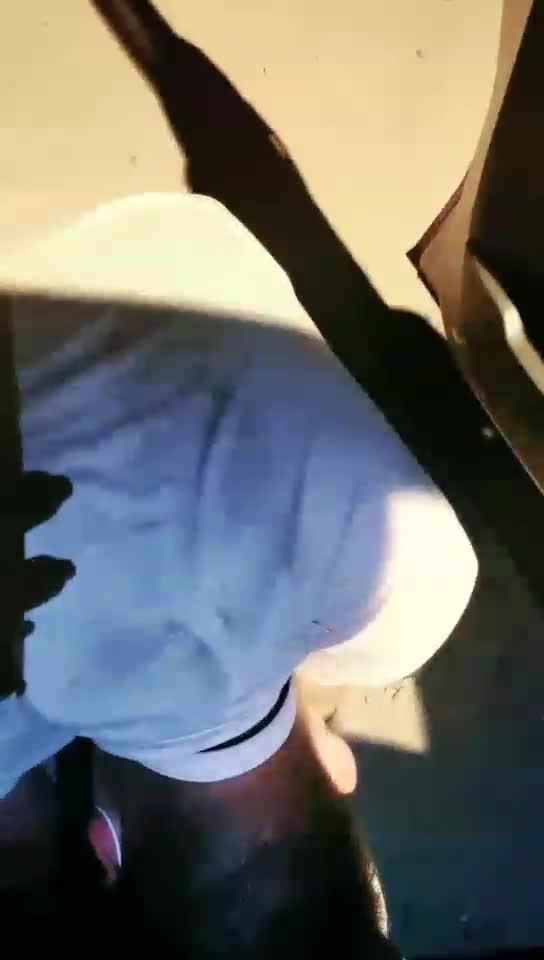 户外调教大笨狗