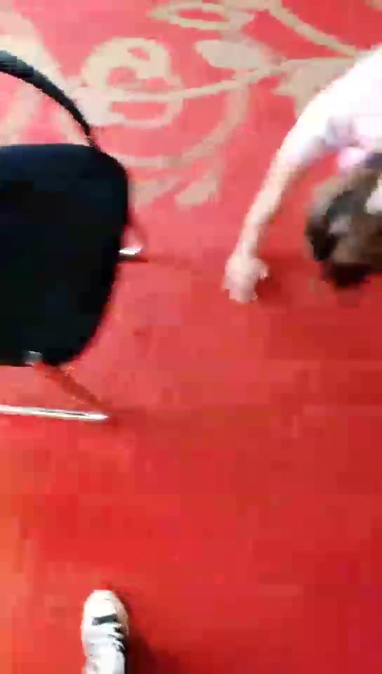 进来看你们要的黄毛贱母狗