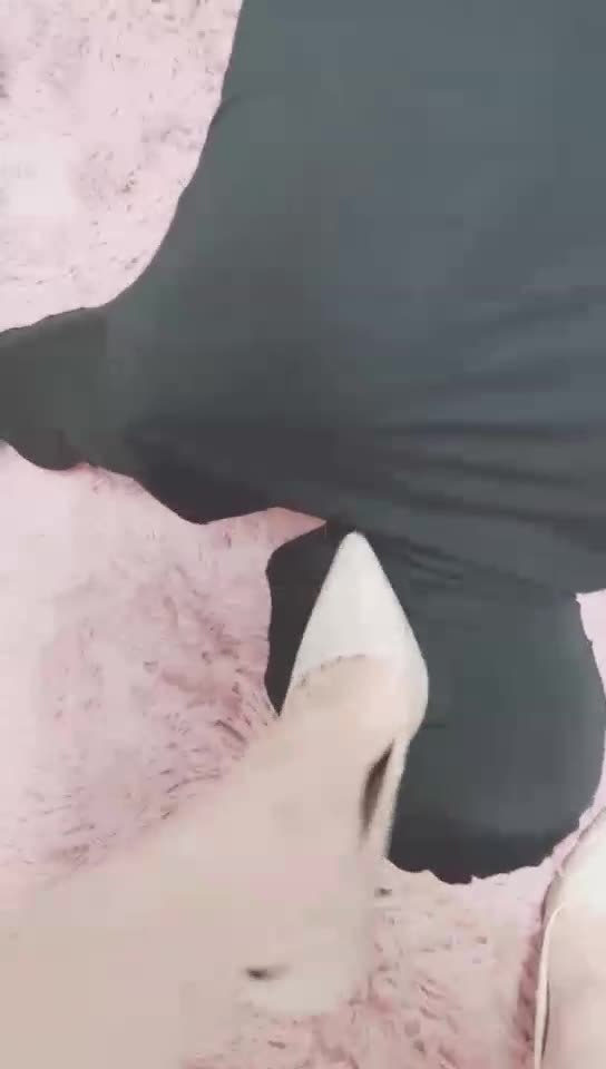 狂虐废物狗