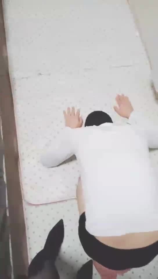 主人无情地鞭打 踩蹂