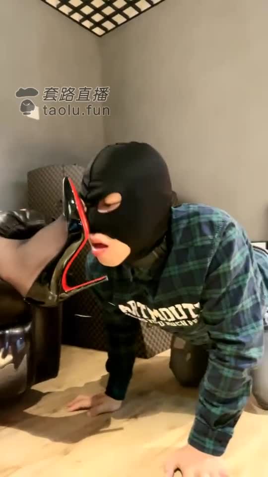 回归 随意玩狗