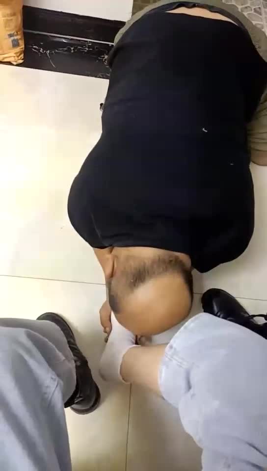 直播调狗