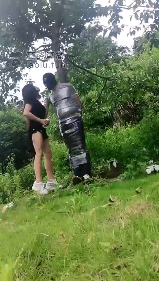户外调只宠物狗