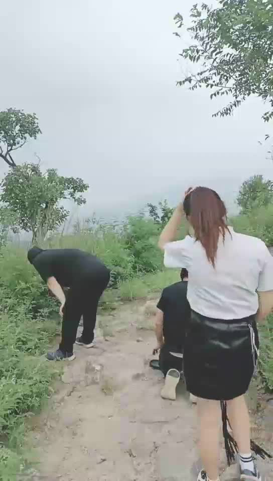 山上揍狗