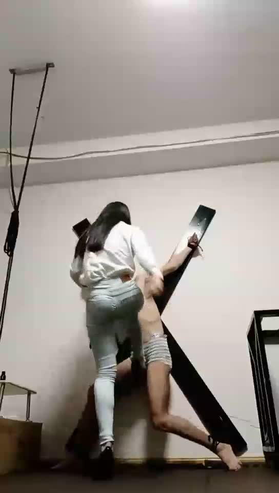 花式虐废物狗