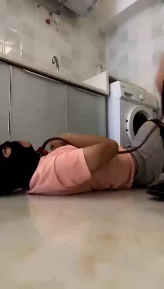 百忙之中 抽空踢死狗狗