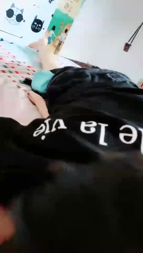 到处闻的狗