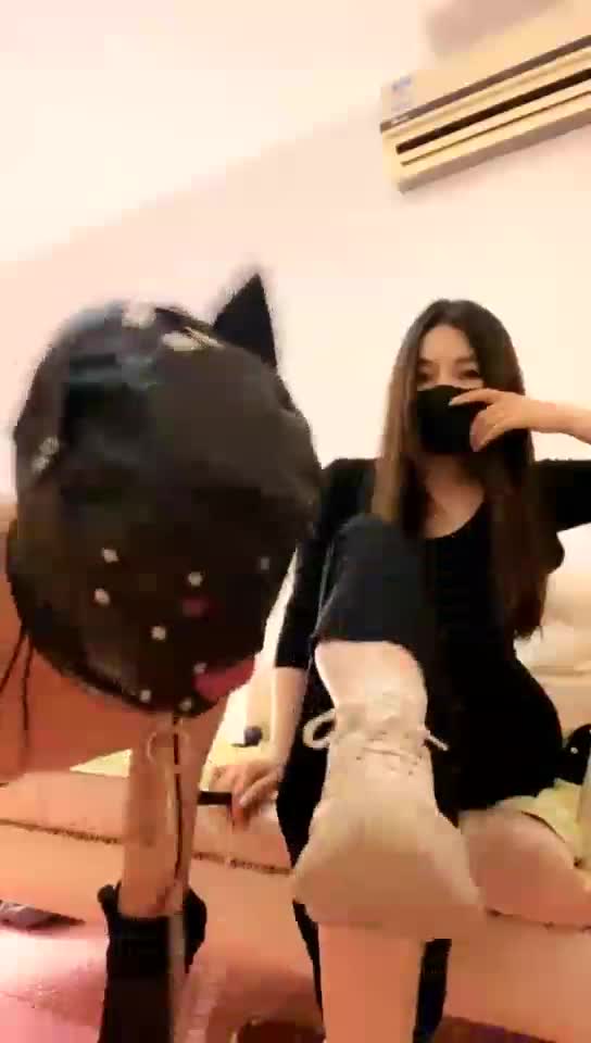 下贱狗舔脏鞋