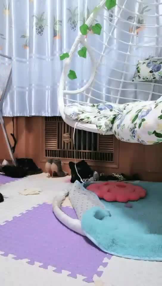 滴蜡鞭打跪拜