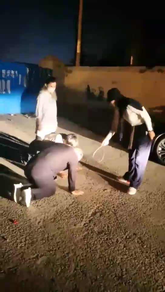 户外遛狗