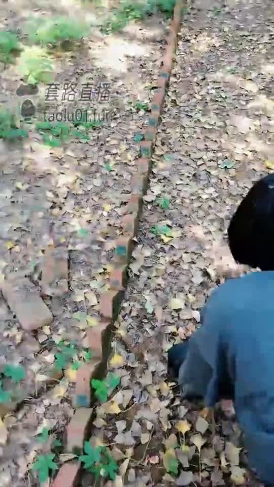 野外暴虐
