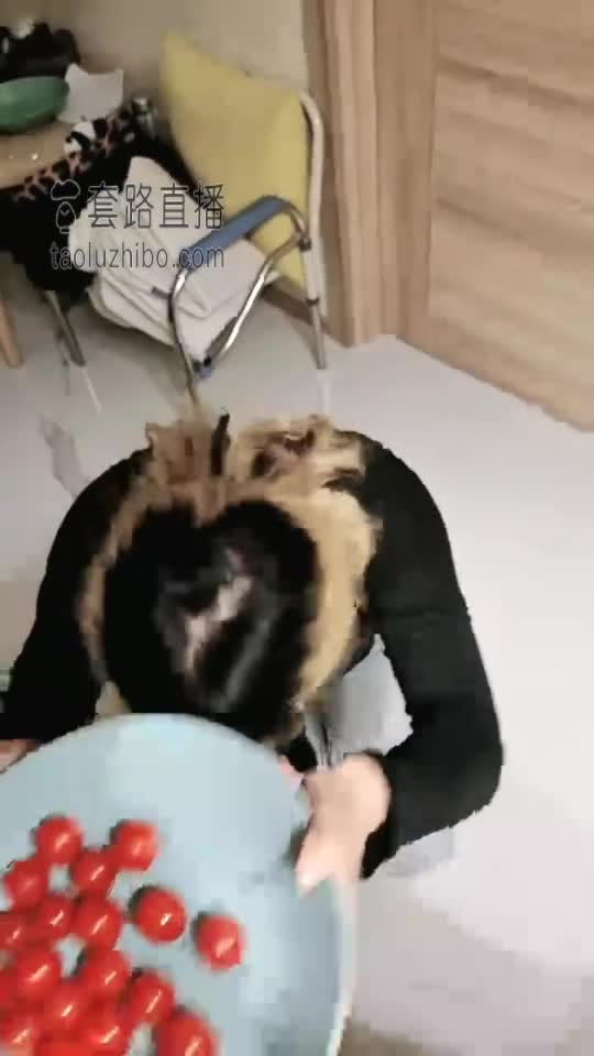 女奴福利场