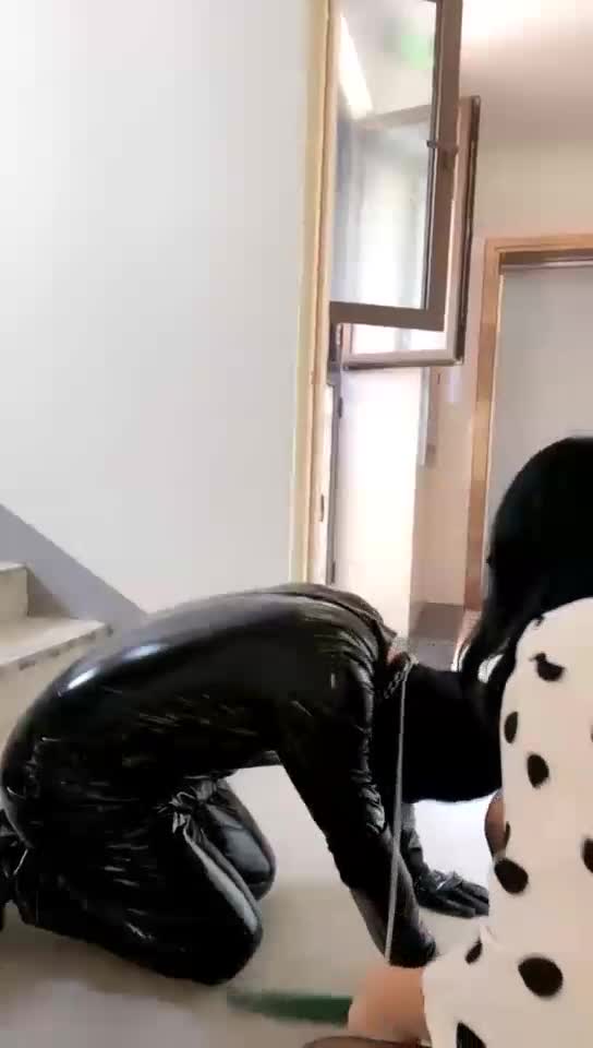 楼道调狗
