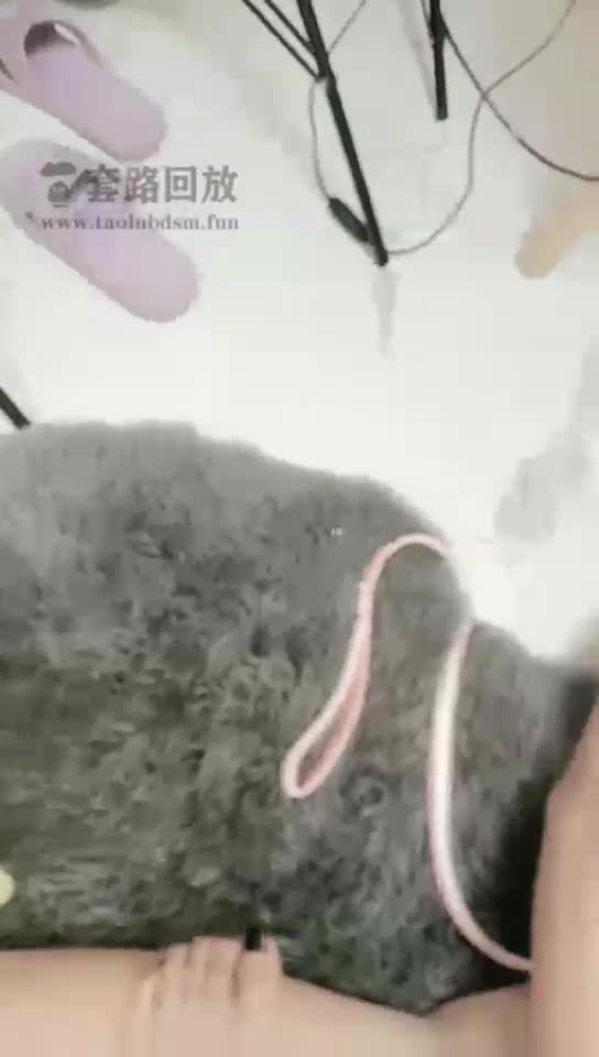 调教女奴