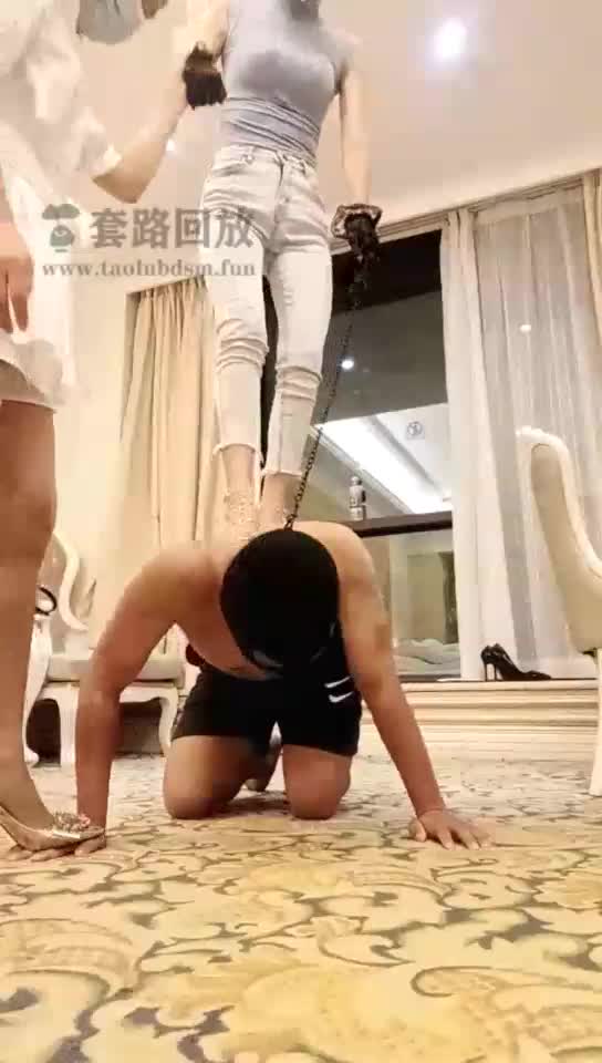 双s虐狗1 耳光 高跟专场 高跟踩踏