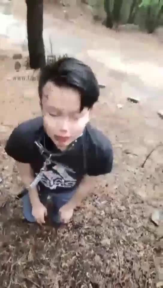 户外舔鞋 遛狗 雨中虐狗 合集