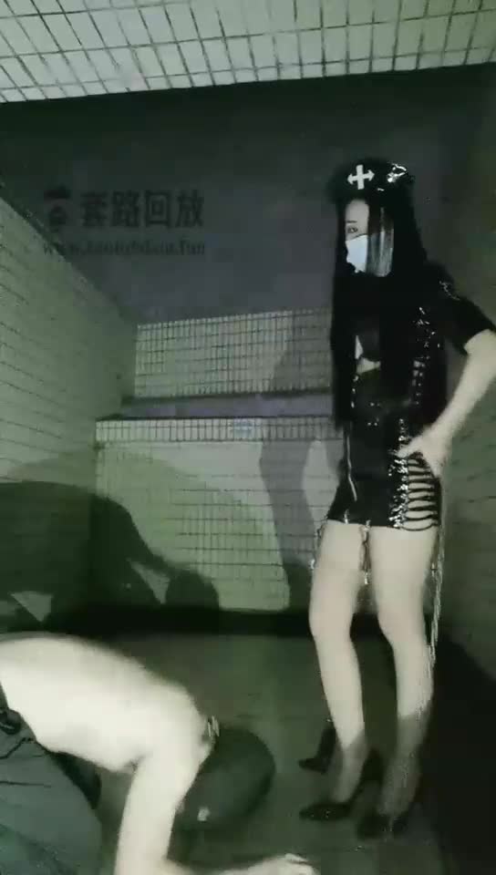 室外遛狗