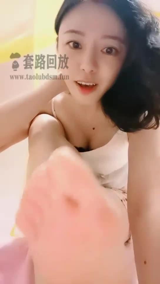 网调 第一视角 红绿灯