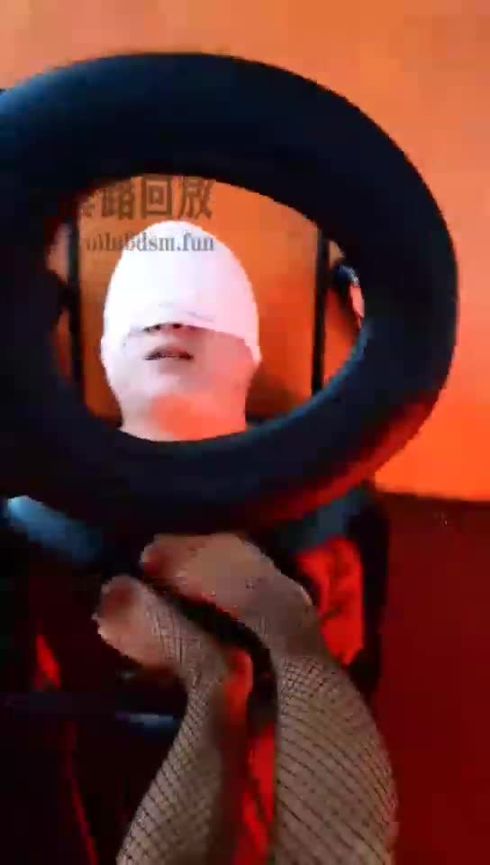 双主调狗