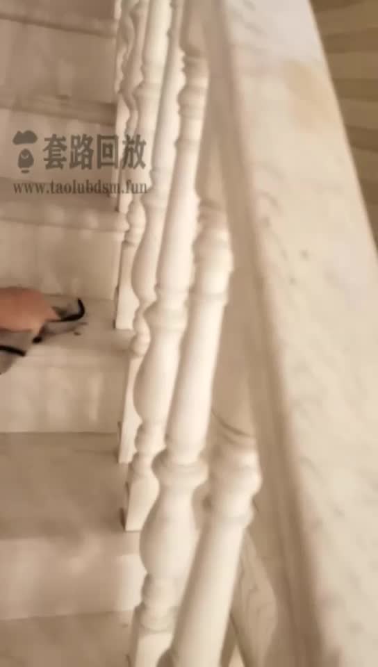 奴役小狗干家务