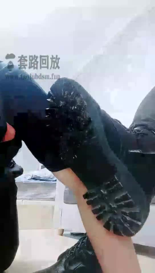 TJ看新人S搞死狗